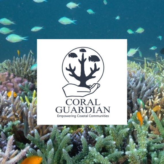 Zoom sobre Coral Guardian - SeventyOne