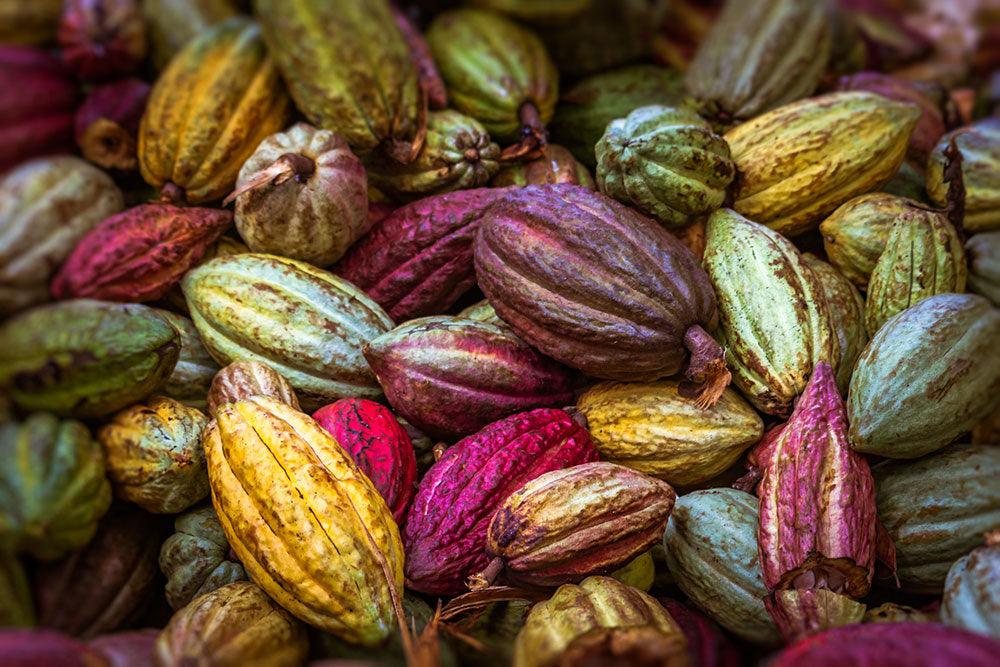 Los beneficios del nano-cocoa para tu piel - Setenta y Uno