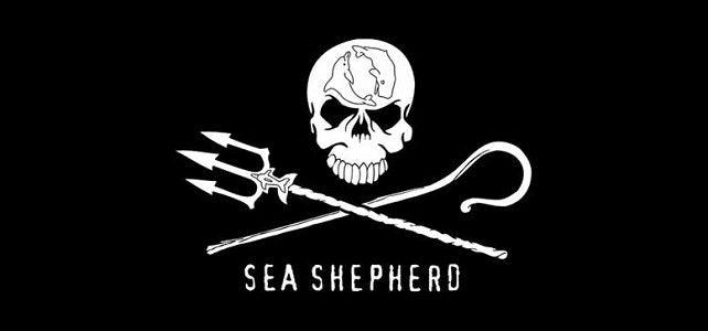 Sea Shepherd - Setenta y uno